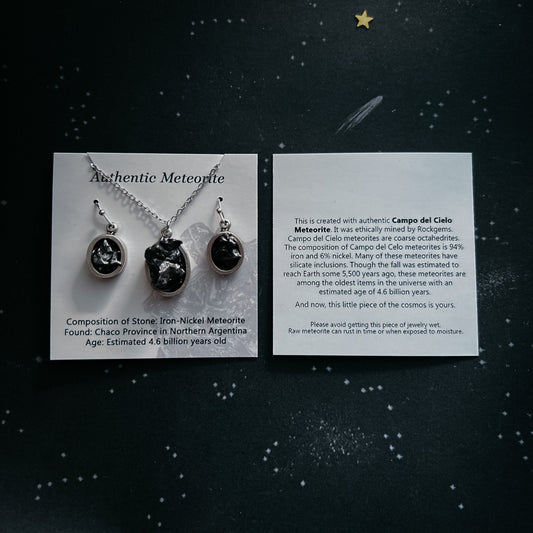 Oval Raw Meteorite Small Stud Earrings